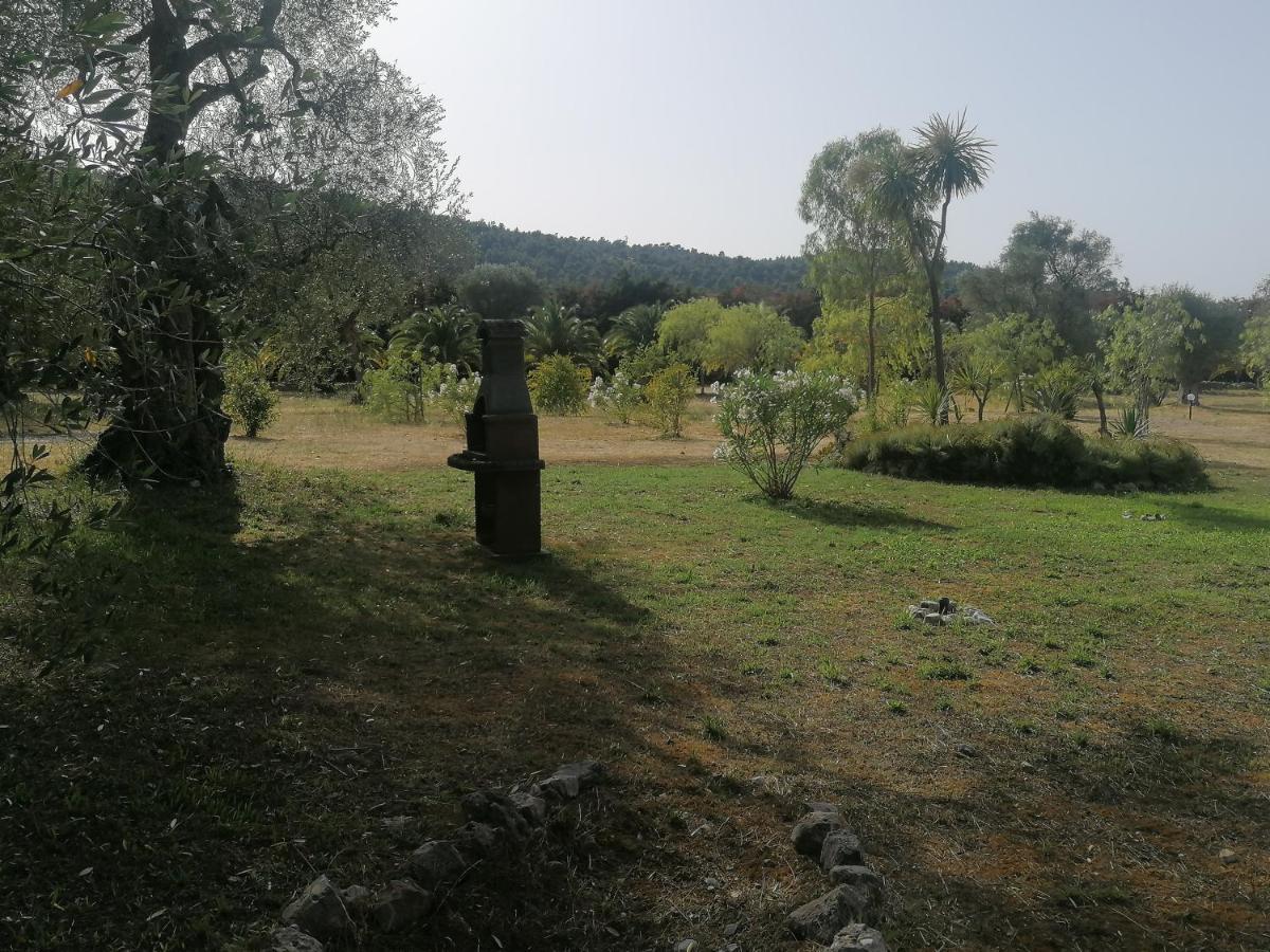 Villa La Piana Di Calena à Peschici Extérieur photo