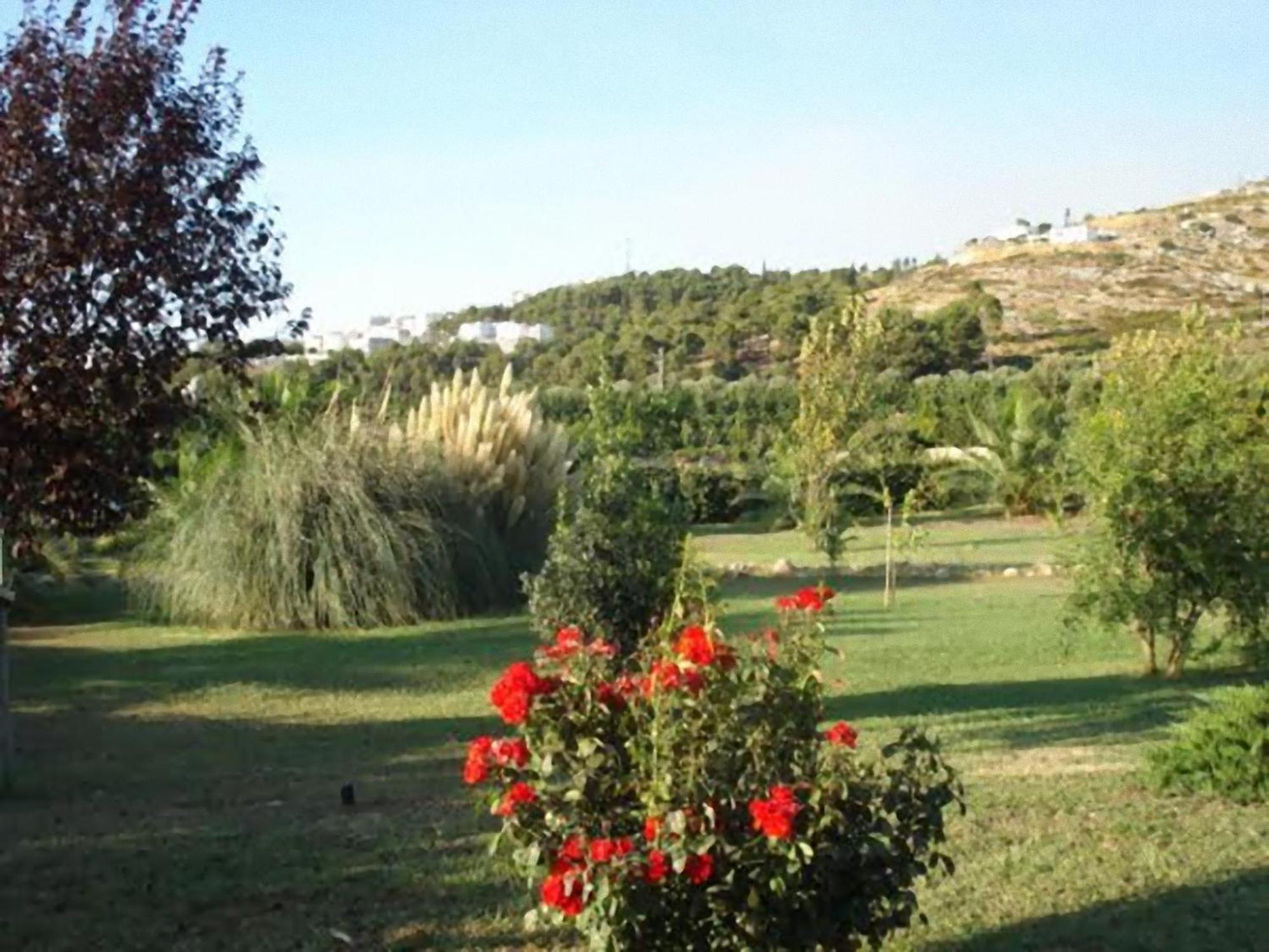 Villa La Piana Di Calena à Peschici Extérieur photo