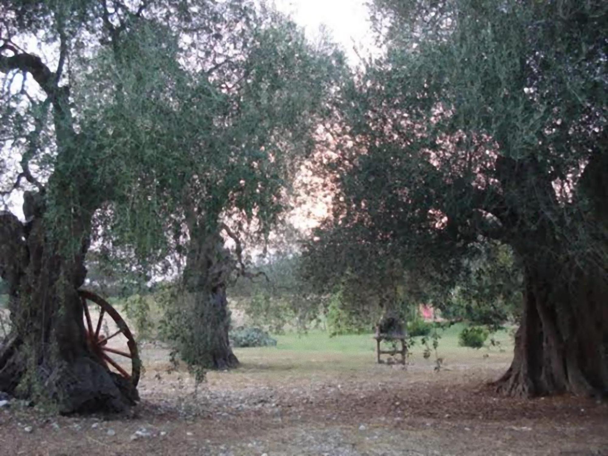 Villa La Piana Di Calena à Peschici Extérieur photo