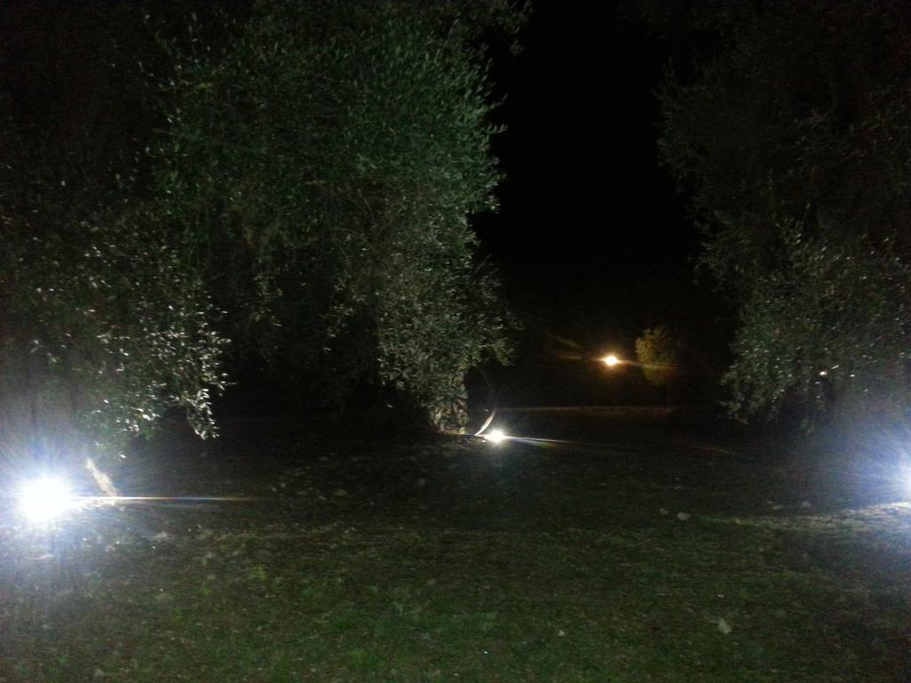 Villa La Piana Di Calena à Peschici Extérieur photo
